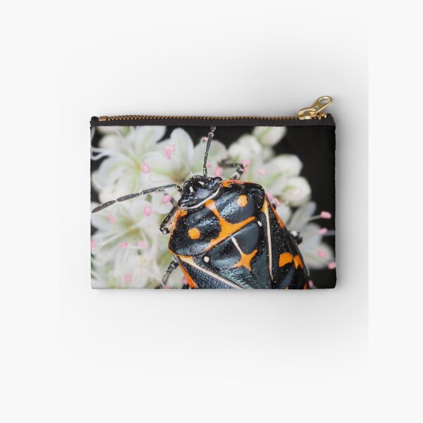 Item preview, Murgantia histrionica (Harlequin Bug) in Southern California, USA designed and sold by SDym Photography.