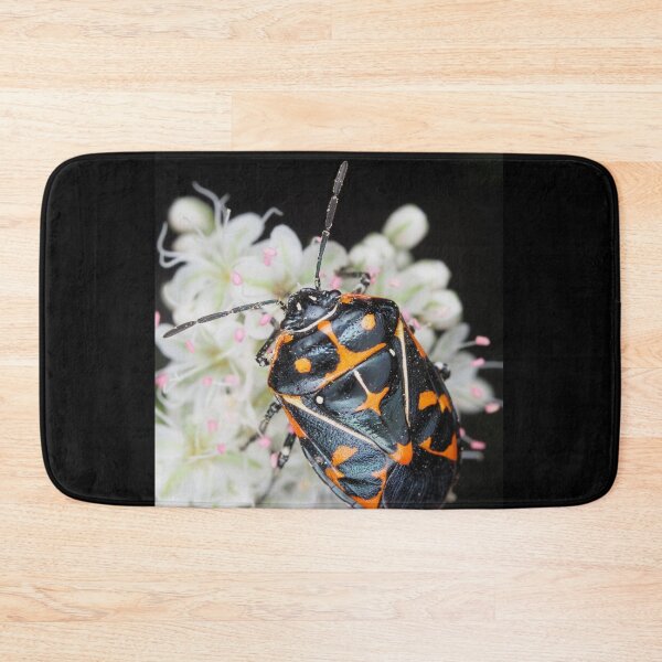Item preview, Murgantia histrionica (Harlequin Bug) in Southern California, USA designed and sold by SDym Photography.