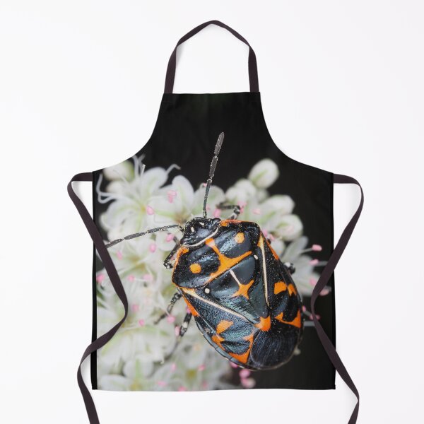 Item preview, Murgantia histrionica (Harlequin Bug) in Southern California, USA designed and sold by SDym Photography.