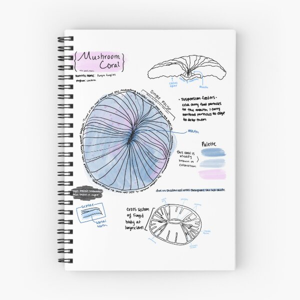 Item preview, Mushroom Coral Anatomy designed and sold by art-by-emlk.