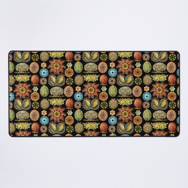Item preview, Ernst Haeckel Ascidiae Sea Squirts  designed and sold by aimeewilson.