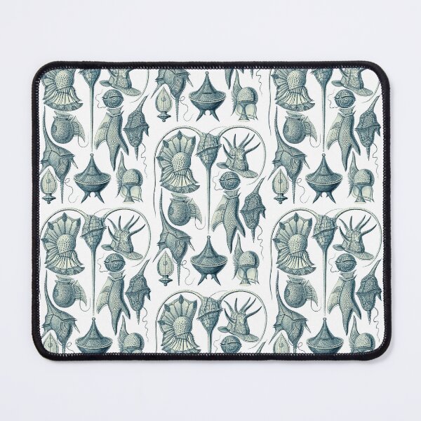 Item preview, Ernst Haeckel Peridinea Plankton designed and sold by aimeewilson.