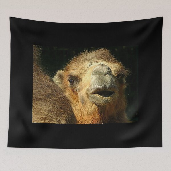 Item preview, Happy cammel designed and sold by LittleCountess.