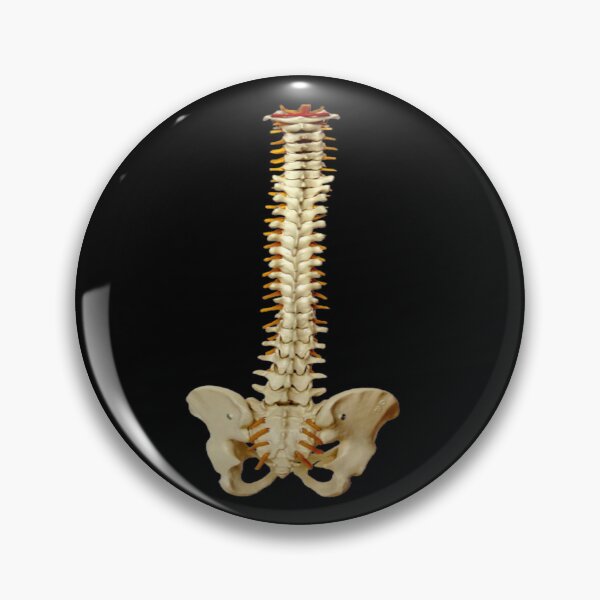 Item preview, anatomy puns designed and sold by Nedskr.