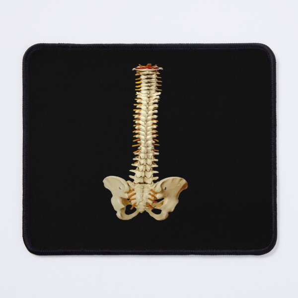 Item preview, anatomy puns designed and sold by Nedskr.