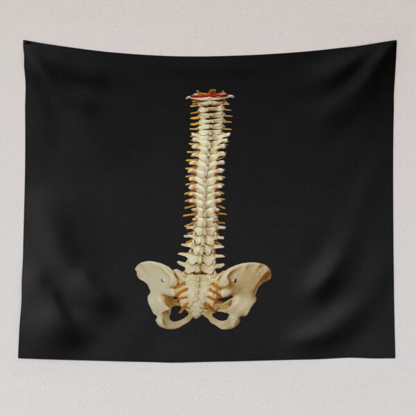 Item preview, anatomy puns designed and sold by Nedskr.