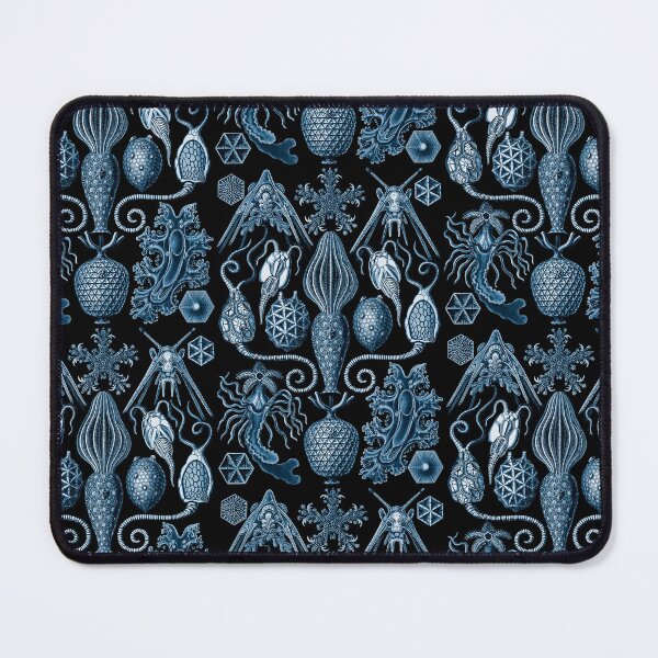 Item preview, Ernst Haeckel Amphoridea Sea Life designed and sold by aimeewilson.