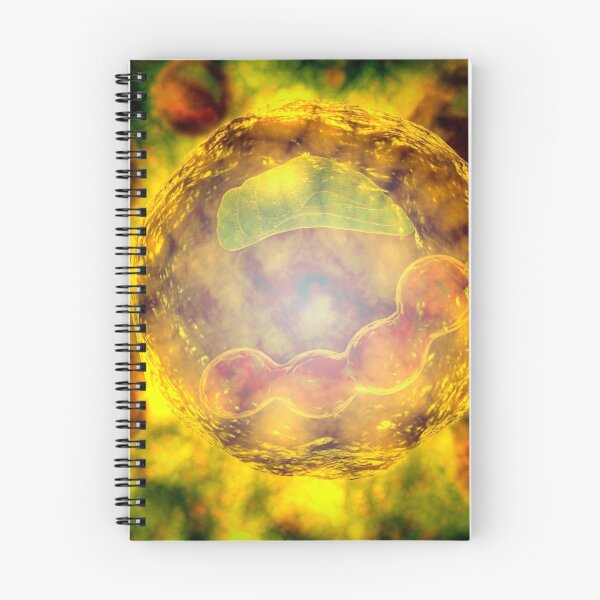 Item preview, Microscopic view of human cell. designed and sold by StocktrekImages.