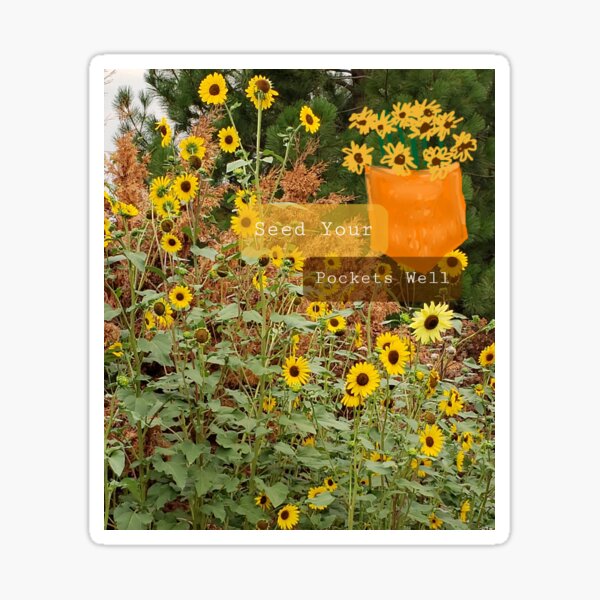 Seeds of (conflict) Resolution  Sticker