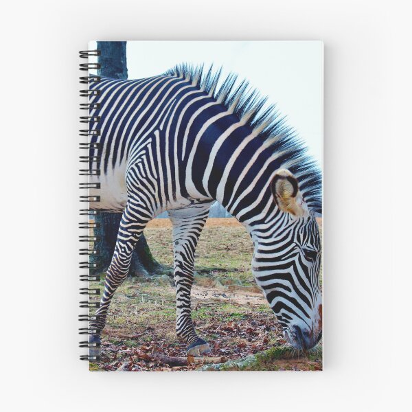 Item preview, Grévy's Zebra designed and sold by Cynthia48.