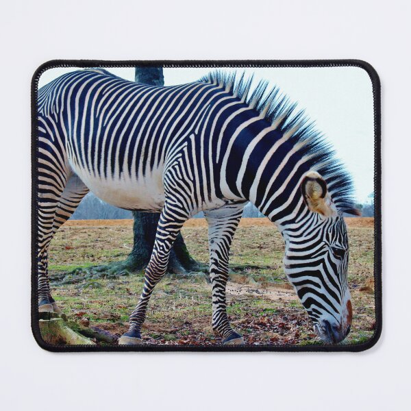 Item preview, Grévy's Zebra designed and sold by Cynthia48.