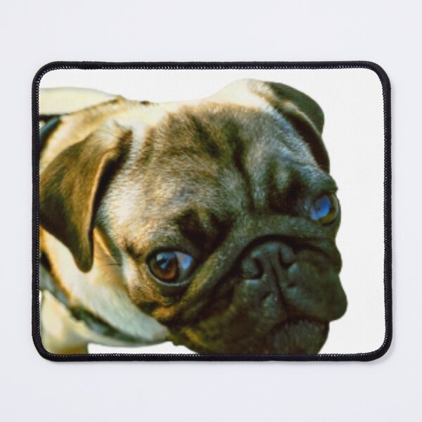 Item preview, SERIOUS PUG designed and sold by giantstep.