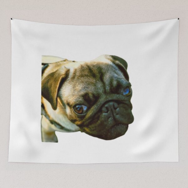 Item preview, SERIOUS PUG designed and sold by giantstep.