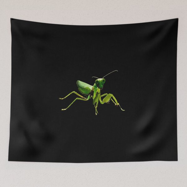 Item preview, Mantis designed and sold by ValentinaHramov.