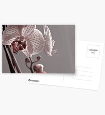 Invasion Postcards