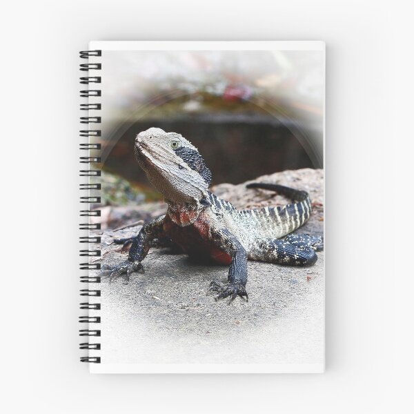 Item preview, Eastern Water Dragon designed and sold by Timothy John Keegan.