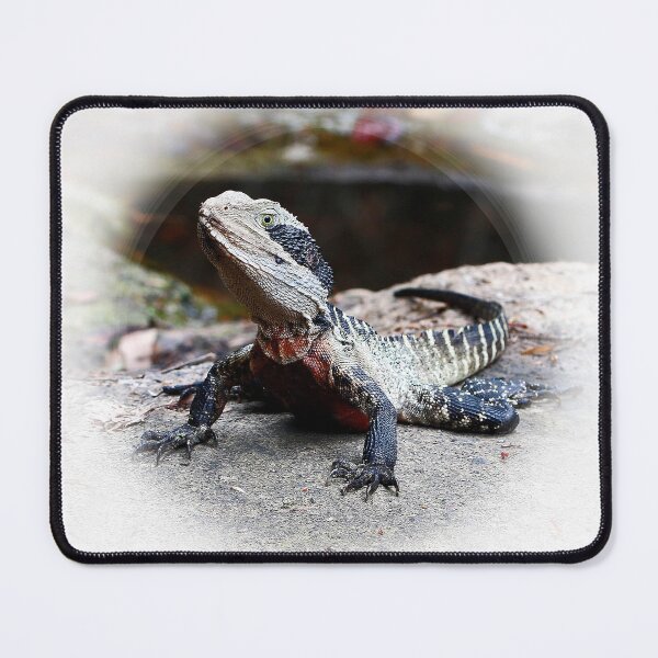 Item preview, Eastern Water Dragon designed and sold by Timothy John Keegan.