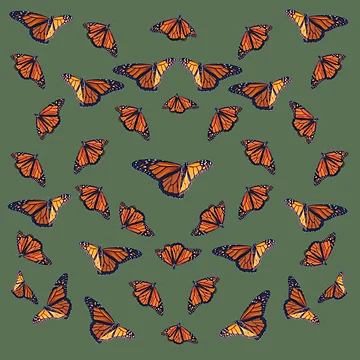 Artwork thumbnail, Butterflies by OneCreativePup