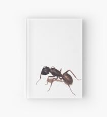 Ant Hardcover Journal