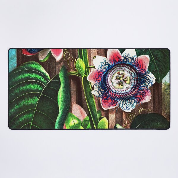 Item preview, The Quadrangular Passion Flower from The Temple of Flora designed and sold by RyanCaudell.