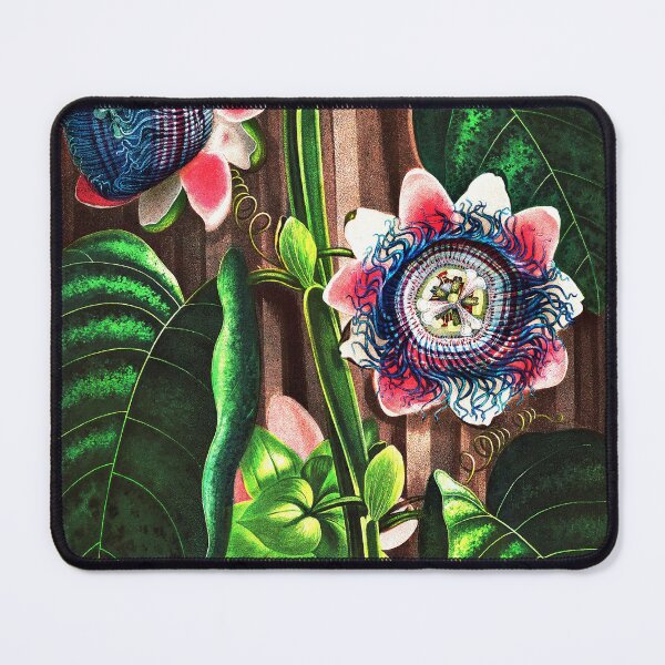 Item preview, The Quadrangular Passion Flower from The Temple of Flora designed and sold by RyanCaudell.