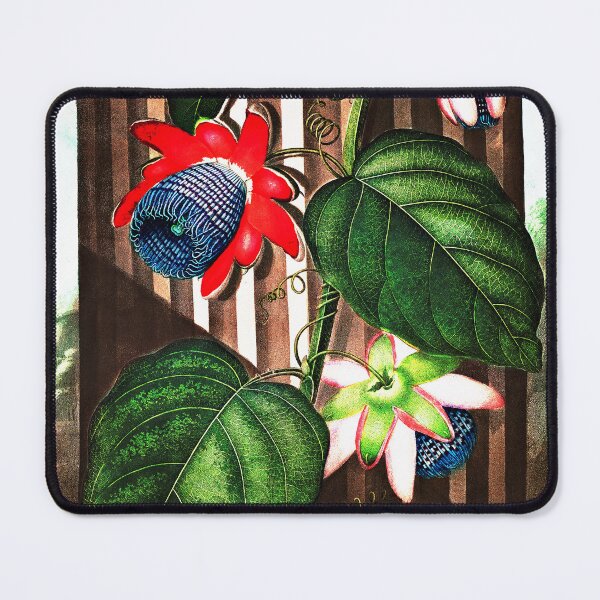 Item preview, The Winged Passion-Flower from The Temple of Flora designed and sold by RyanCaudell.
