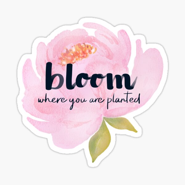 Bloom Where Planted Sticker, 3x3 in.
