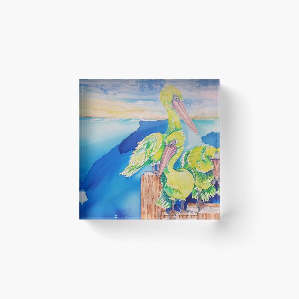 Item preview, Pelican Brief designed and sold by Saltyartmia.