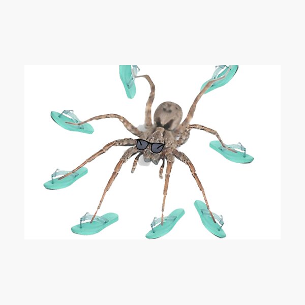Item preview, cool summer spider flops designed and sold by purplepinkdrgn.