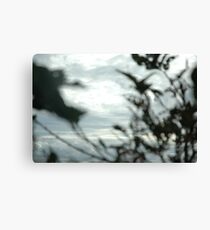 paint brush image Canvas Print