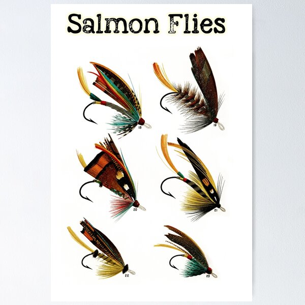 Vintage Salmon Flies Poster for Sale by JonHerrera