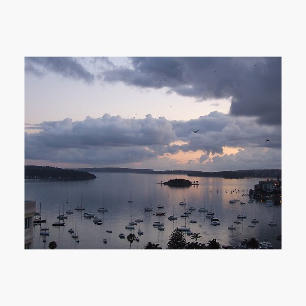 Item preview, Elizabeth Bay designed and sold by John Douglas.
