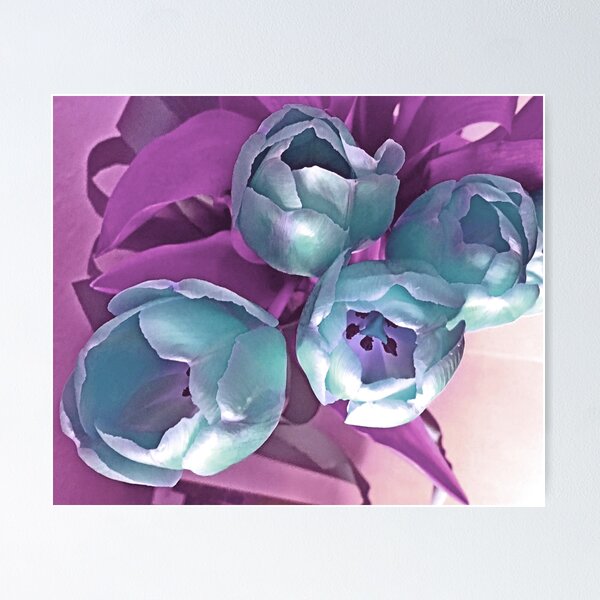 Item preview, Tulip Ice-blue bouquet by Iritof designed and sold by iritof.