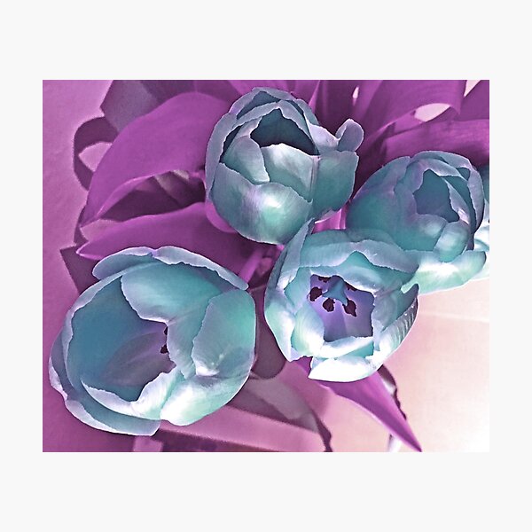 Item preview, Tulip Ice-blue bouquet by Iritof designed and sold by iritof.