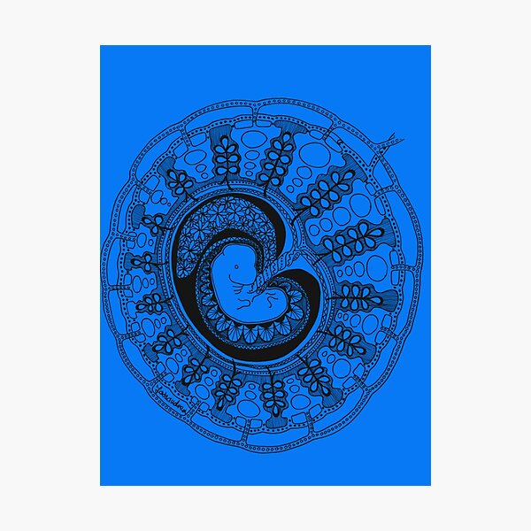Aperçu de l'œuvre Organe-mandala d'anatomie de l'embryon et du placenta Sticker créée et vendue par CarstensChrist.