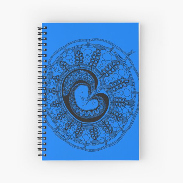 Item preview, Embryo and placenta anatomy organ-mandala Sticker designed and sold by CarstensChrist.