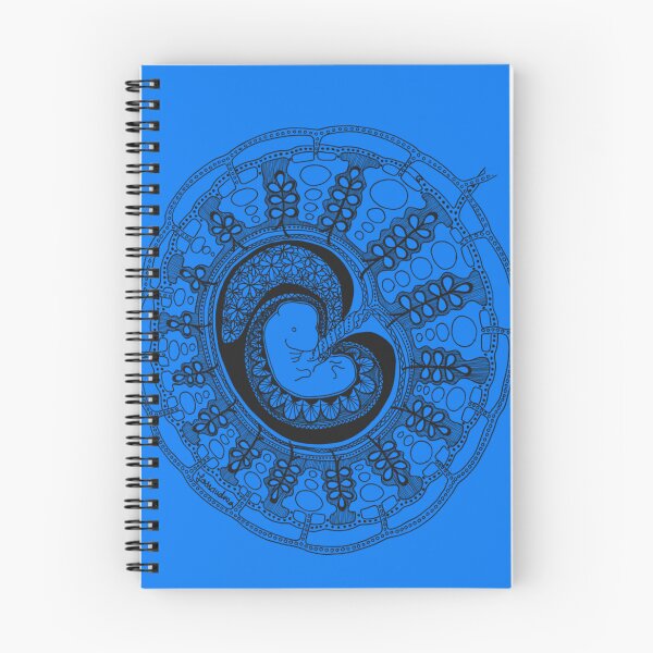 Item preview, Embryo and placenta anatomy organ-mandala Sticker designed and sold by CarstensChrist.