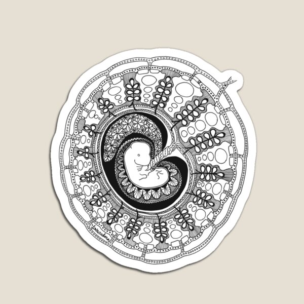 Item preview, Embryo and placenta anatomy organ-mandala Sticker designed and sold by CarstensChrist.