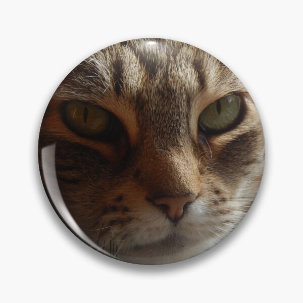 Item preview, Fierce Rescue Kitty designed and sold by PetPeevee.