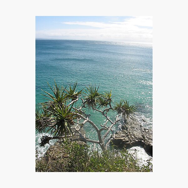 noosa Photographic Print