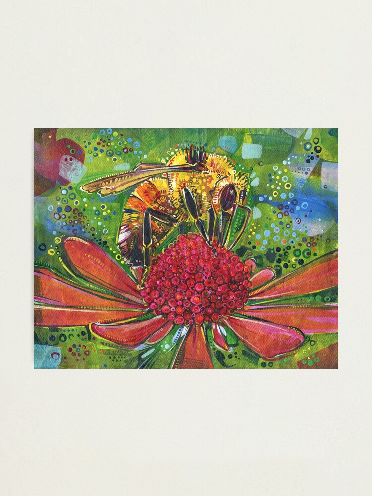 Thumbnail 2 of 3, Photographic Print, Tri-colored Bumble Bee designed and sold by gwennpaints.