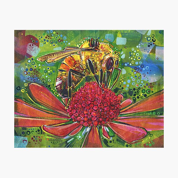 Photographic Print