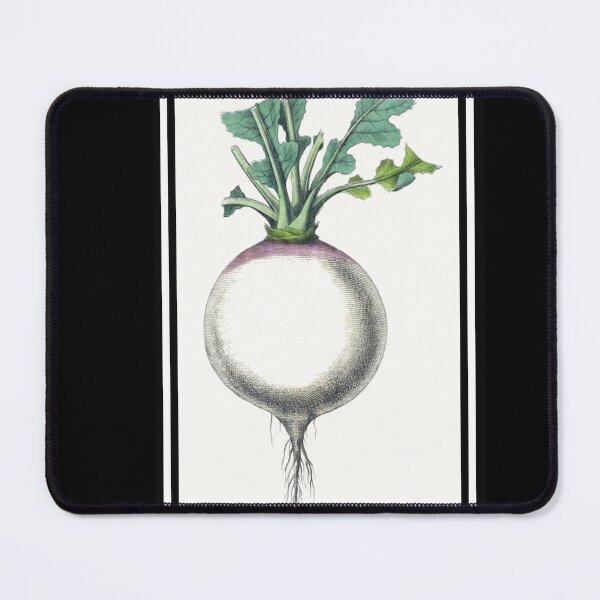 Item preview, Vintage Turnip Drawing from the 1800's designed and sold by MountMercantile.