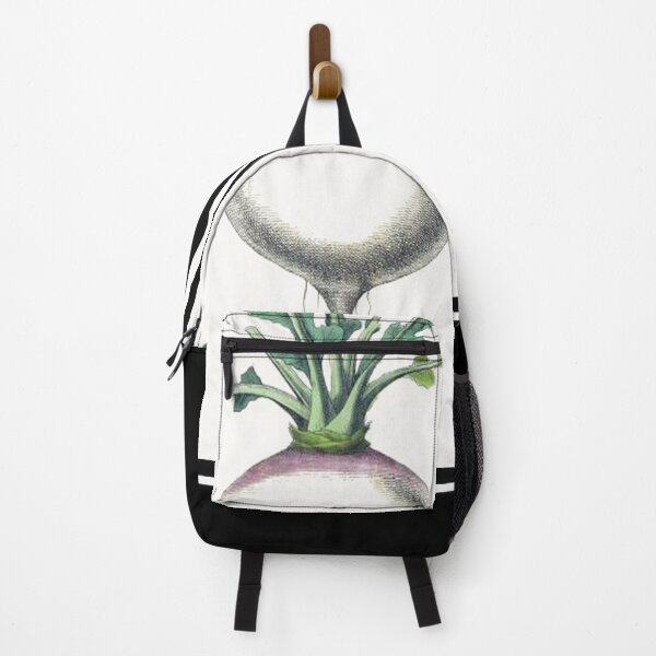 Item preview, Vintage Turnip Drawing from the 1800's designed and sold by MountMercantile.