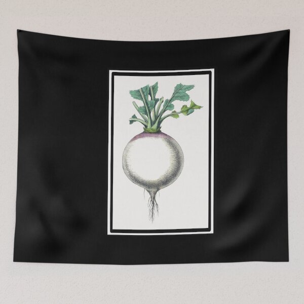 Item preview, Vintage Turnip Drawing from the 1800's designed and sold by MountMercantile.