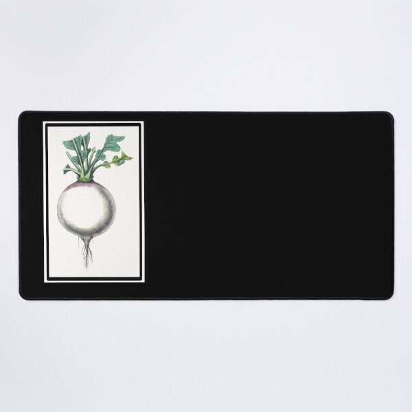 Item preview, Vintage Turnip Drawing from the 1800's designed and sold by MountMercantile.
