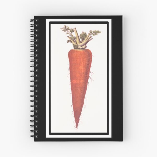 Item preview, Vintage Carrot Drawing from the 1800's designed and sold by MountMercantile.