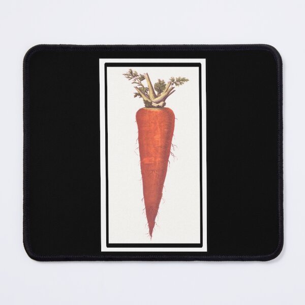Item preview, Vintage Carrot Drawing from the 1800's designed and sold by MountMercantile.