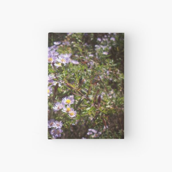 Delicate Violet Hardcover Journal