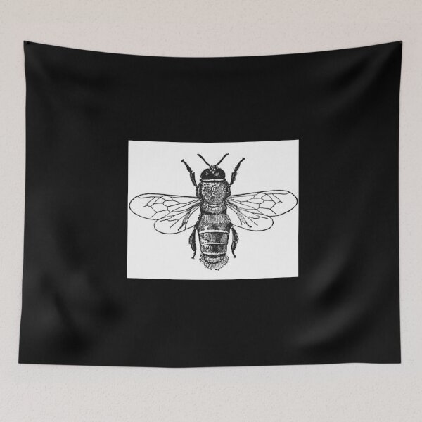 Item preview, Vintage Drone Bee, Illustration from the 1800's designed and sold by MountMercantile.